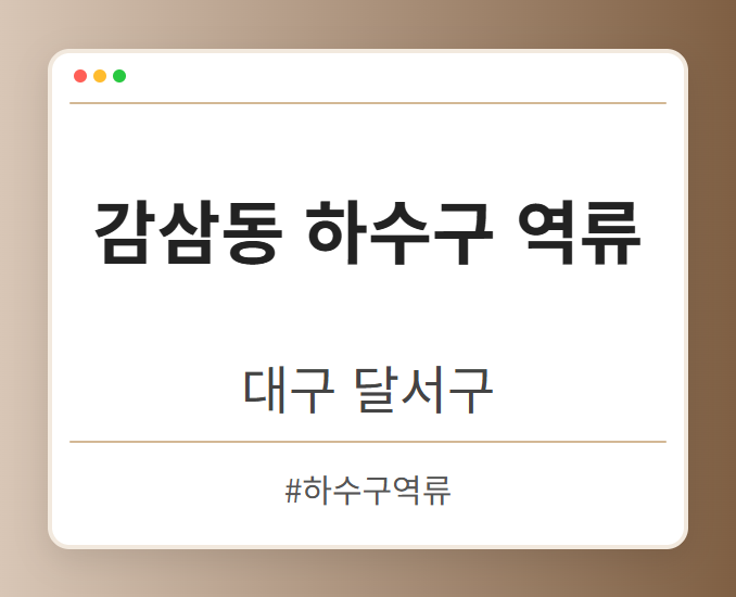 감삼동 하수구 역류 - 대구 달서구 감삼동 하수구 역류 전문업체