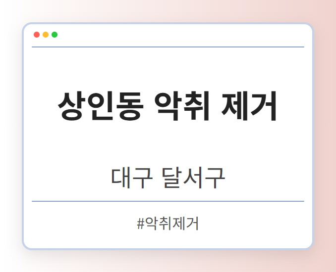 상인동 악취 제거 - 대구 달서구 상인동 악취 제거 전문업체