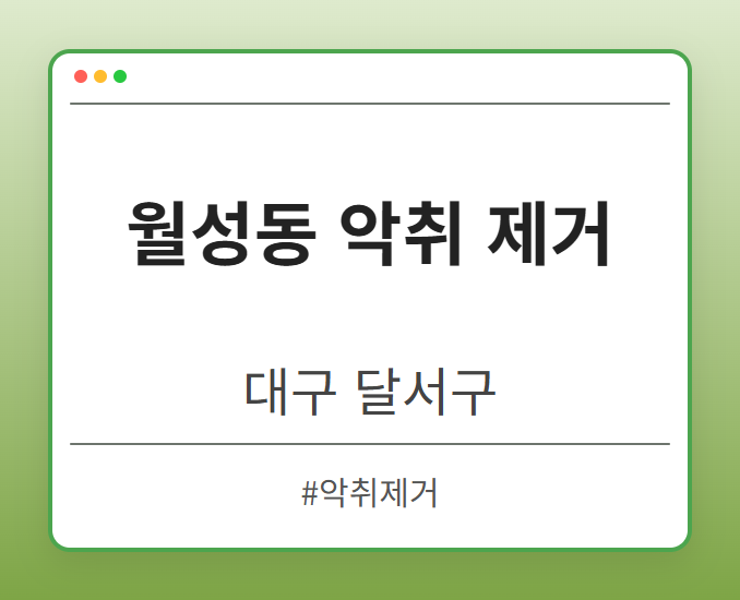 월성동 악취 제거 - 대구 달서구 월성동 악취 제거 전문업체