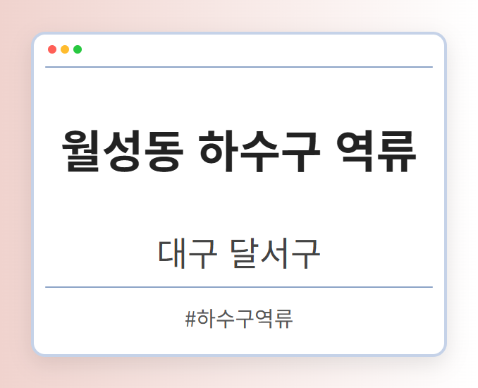 월성동 하수구 역류 - 대구 달서구 월성동 하수구 역류 전문업체