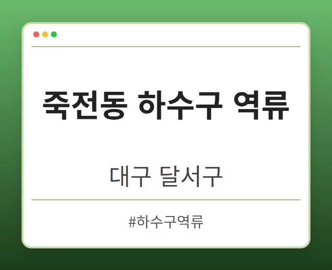 죽전동 하수구 역류 - 대구 달서구 죽전동 하수구 역류 전문업체